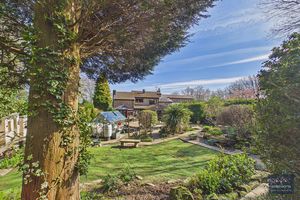 Photo 44- click for photo gallery